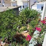 Apartment Koula's Place